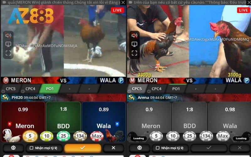 Tại AZ888 người chơi sẽ được tham gia đặt cược với hai hình thức Tại AZ888 người chơi sẽ được tham gia đặt cược với hai hình thức