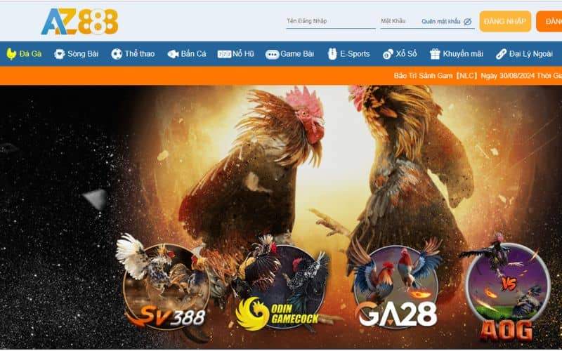 Tìm hiểu về sảnh chơi đá gà trực tuyến AZ888 Tìm hiểu về sảnh chơi đá gà trực tuyến AZ888